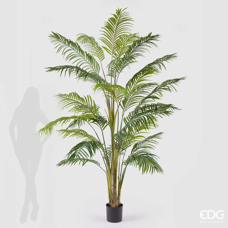 EDG Enzo De Gasperi Pianta Artificiale Palma Areca Vogue con Vaso H250 cm