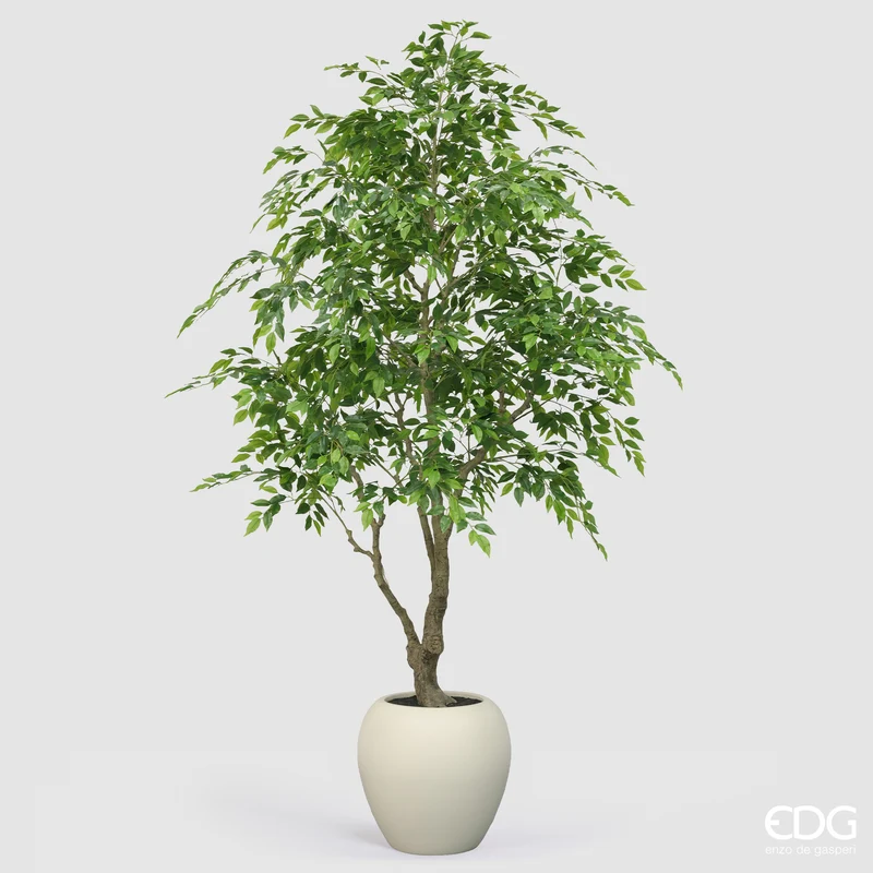 EDG Enzo De Gasperi Pianta Artificiale Ficus Beniamino Vogue con Vaso H244 cm