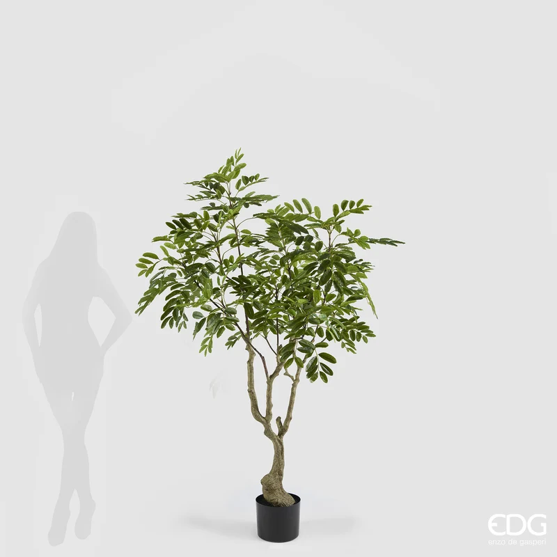 EDG Enzo De Gasperi Pianta Artificiale Dalbergia Vogue con Vaso H180 cm