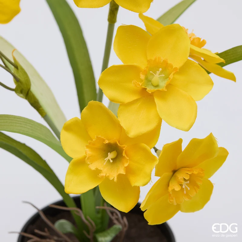 EDG Enzo De Gasperi Pianta Narciso con Vaso H34 cm Giallo