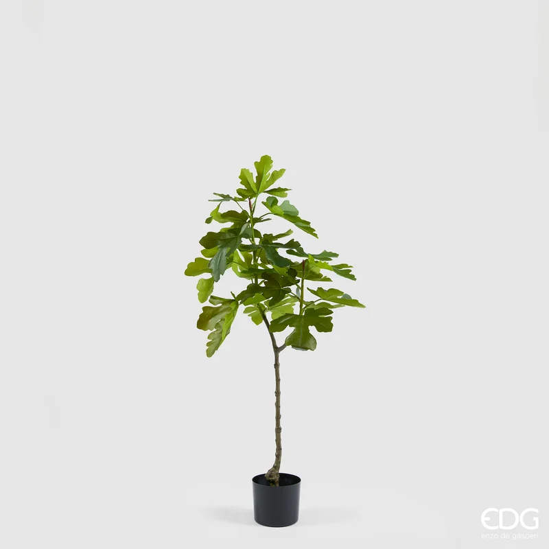EDG Enzo De Gasperi Pianta Artificiale Ficus con Vaso H120 cm