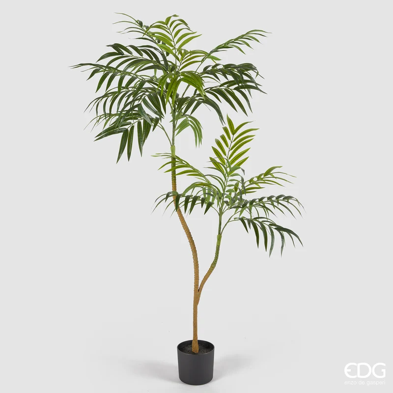 EDG Enzo De Gasperi Pianta Artificiale Palma Chamadorea con Vaso H170 cm
