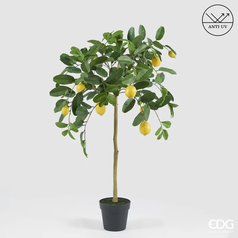EDG Enzo De Gasperi Pianta Artificiale Limone Anti-UV con Vaso H125 cm