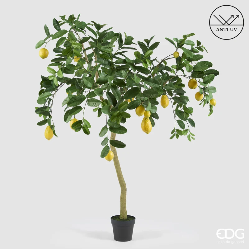 EDG Enzo De Gasperi Pianta Artificiale Limone Anti-UV con Vaso H170 cm