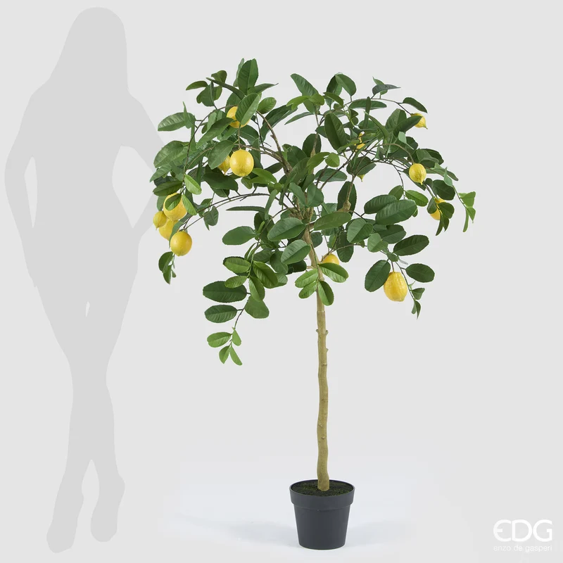 EDG Enzo De Gasperi Pianta Artificiale Limone Anti-UV con Vaso H148 cm