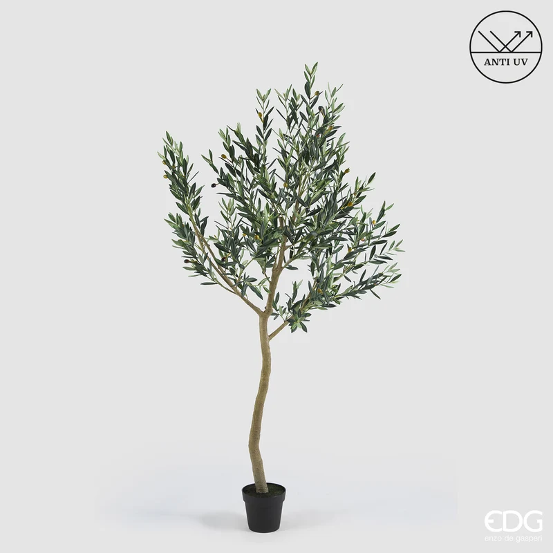 EDG Enzo De Gasperi Pianta Artificiale Olivo Anti-UV con Vaso H200 cm