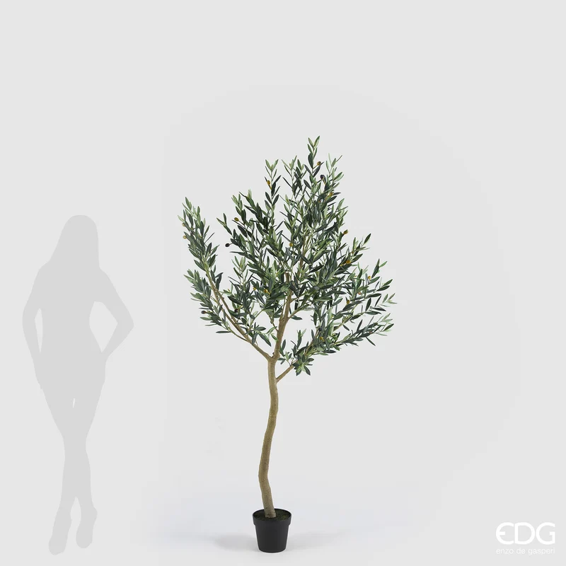 EDG Enzo De Gasperi Pianta Artificiale Olivo Anti-UV con Vaso H200 cm