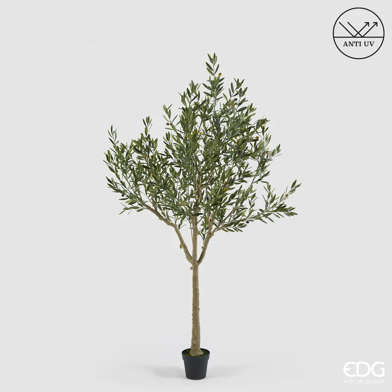 EDG Enzo De Gasperi Pianta Artificiale Olivo Anti-UV con Vaso H208 cm
