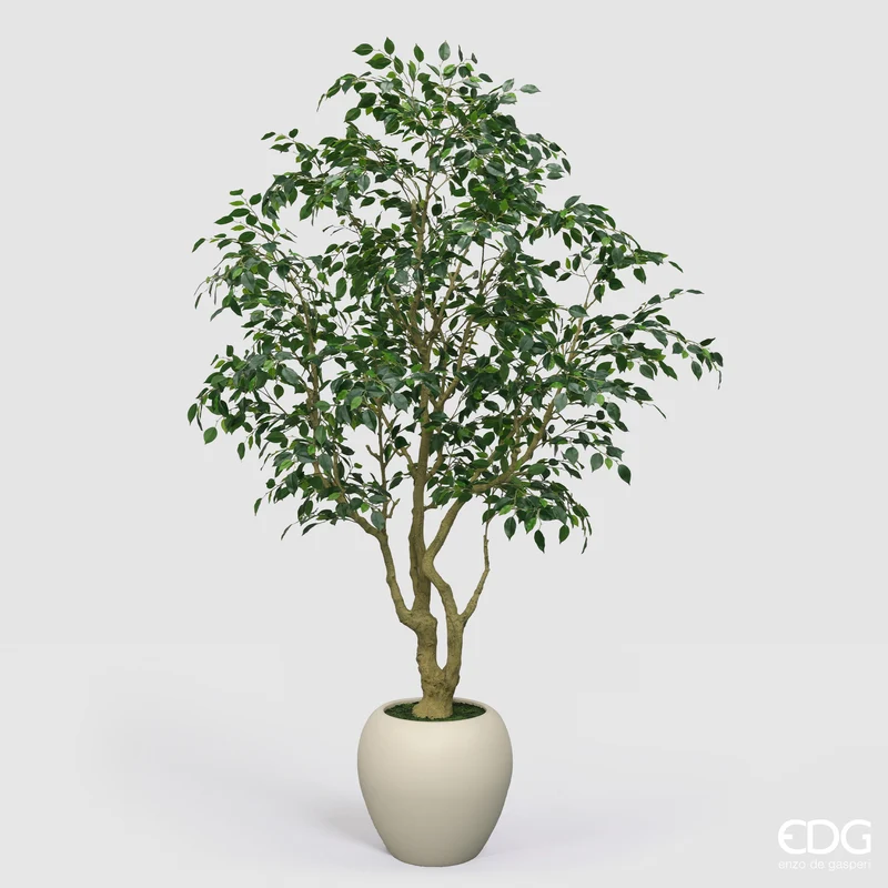 EDG Enzo De Gasperi Pianta Artificiale Ficus Beniamino Vogue con Vaso H240 cm