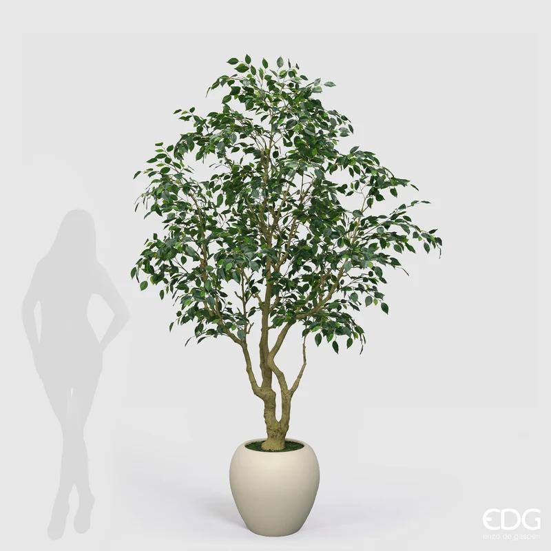 EDG Enzo De Gasperi Pianta Artificiale Ficus Beniamino Vogue con Vaso H240 cm