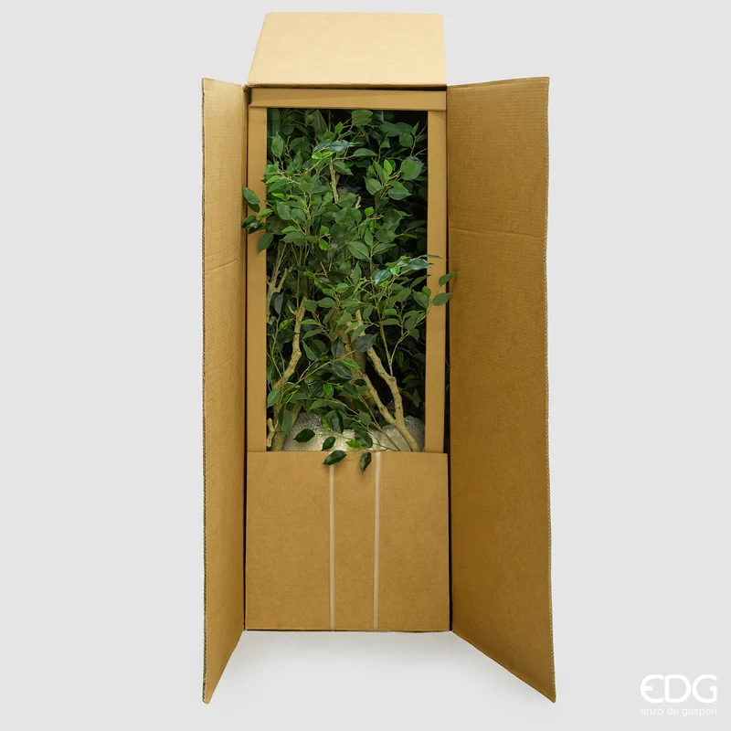 EDG Enzo De Gasperi Pianta Artificiale Ficus Beniamino Vogue con Vaso H240 cm