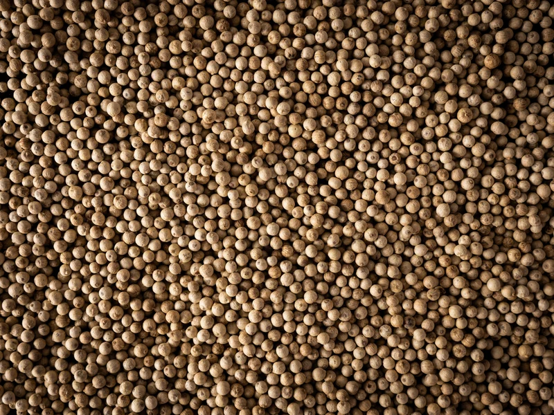 Peugeot Sikara Weißer Pfeffer 3x 20gr