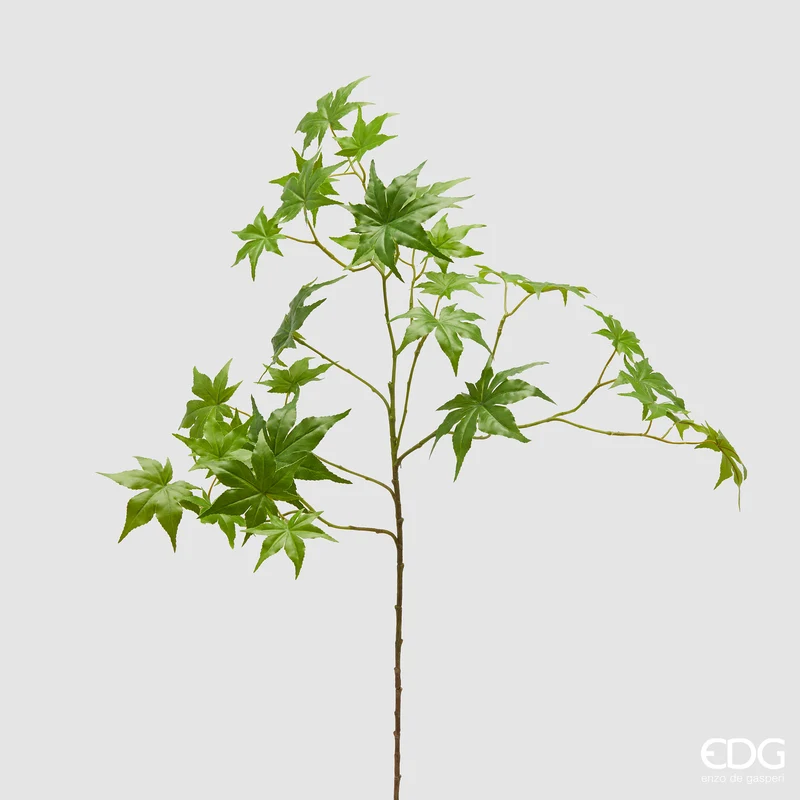 EDG Enzo De Gasperi Ramo di Acero H90 cm
