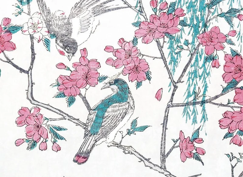 Ippocampo Edizioni Libro I Ciliegi in Fiore