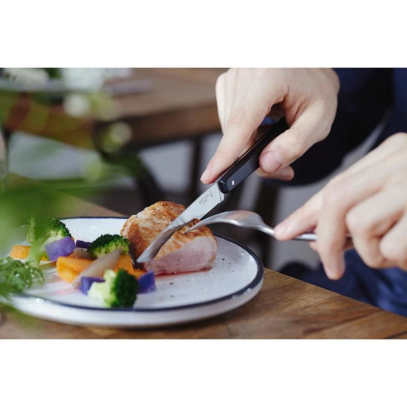 Opinel Steakmesser 'N°125 Pro' Schwarz
