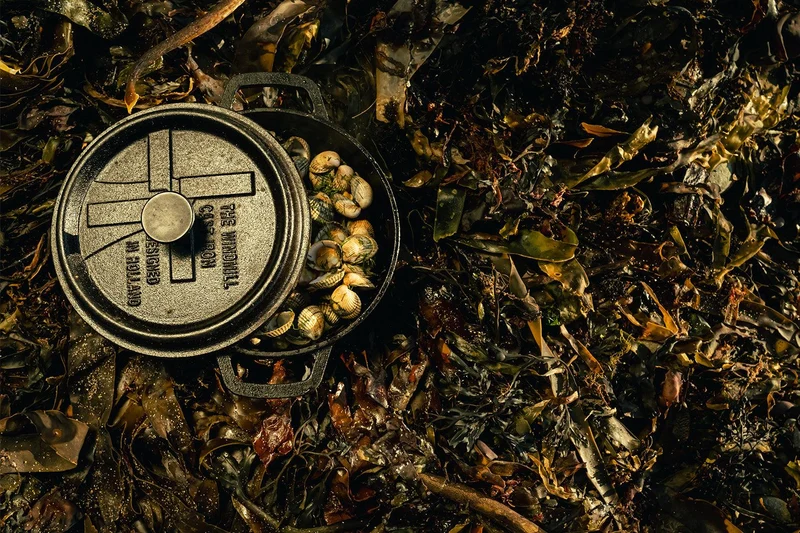 Windmühlen-Grillpfanne mit Deckel