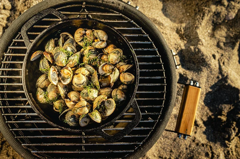 Windmühlen-Grillpfanne mit Deckel