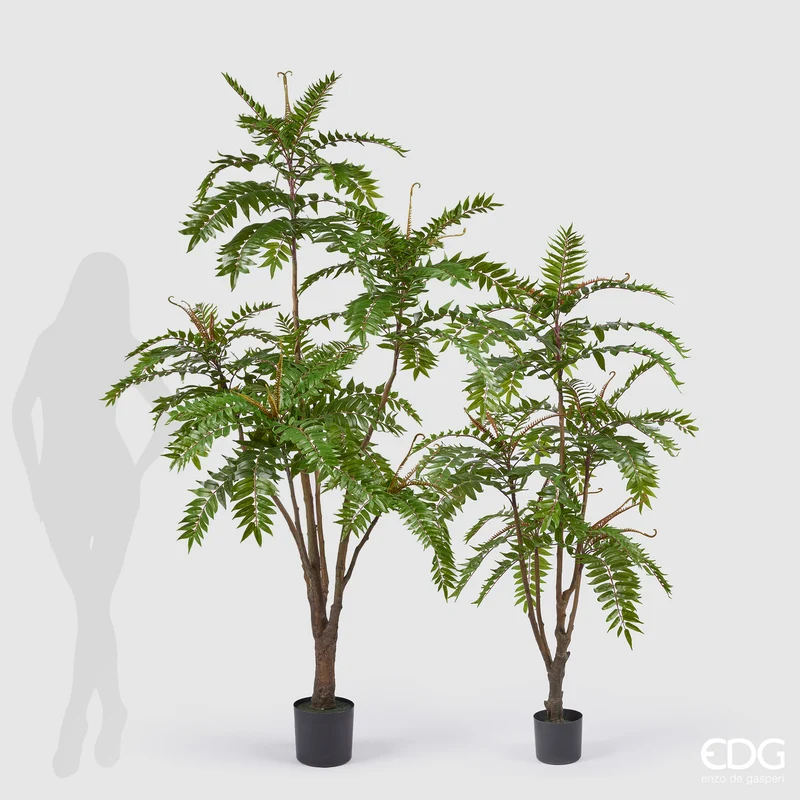 EDG Enzo De Gasperi Pianta Artificiale Ailanto con Vaso H150 cm