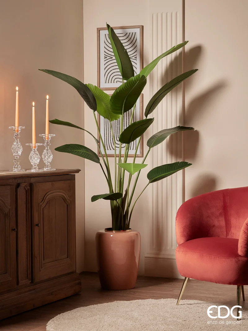 EDG Enzo De Gasperi Pianta Strelitzia Chic con Vaso H180 cm