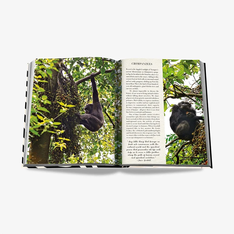 Assouline Libro The Classics Collection African Adventures: The Greatest Safari on Earth