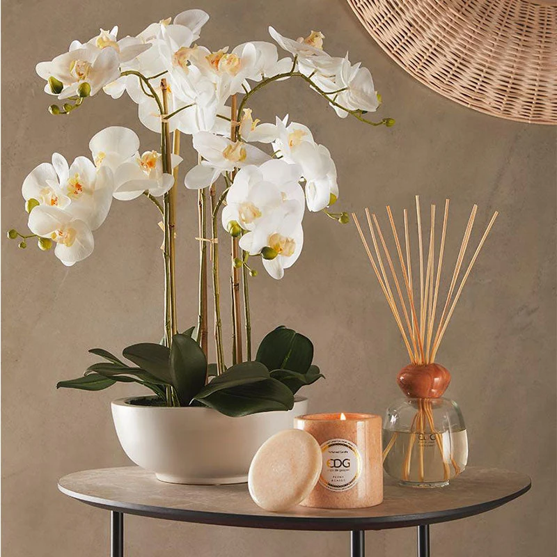 EDG Enzo De Gasperi Orchidea Phalaenopsis Real 7 fiori H84 cm Bianca
