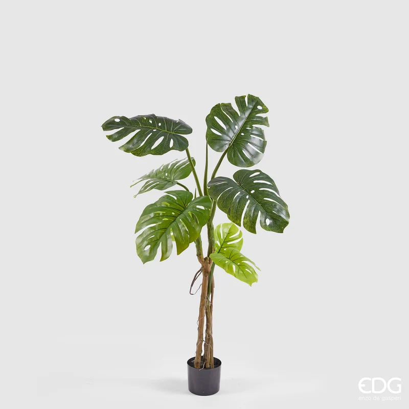EDG Enzo De Gasperi Pianta Artificiale Monstera Slim con Vaso H130 cm
