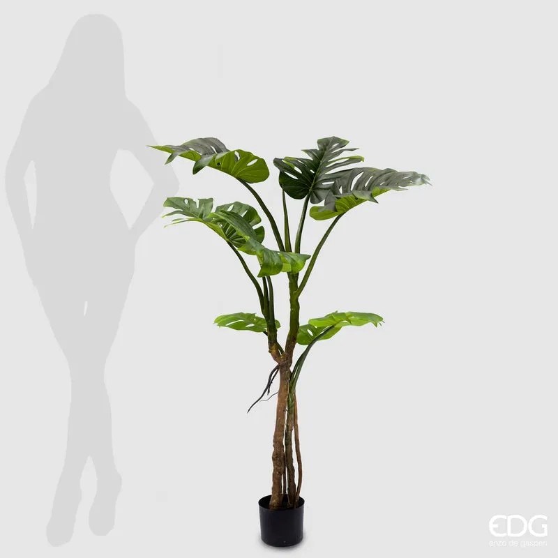 EDG Enzo De Gasperi Pianta Artificiale Monstera Slim con Vaso H130 cm