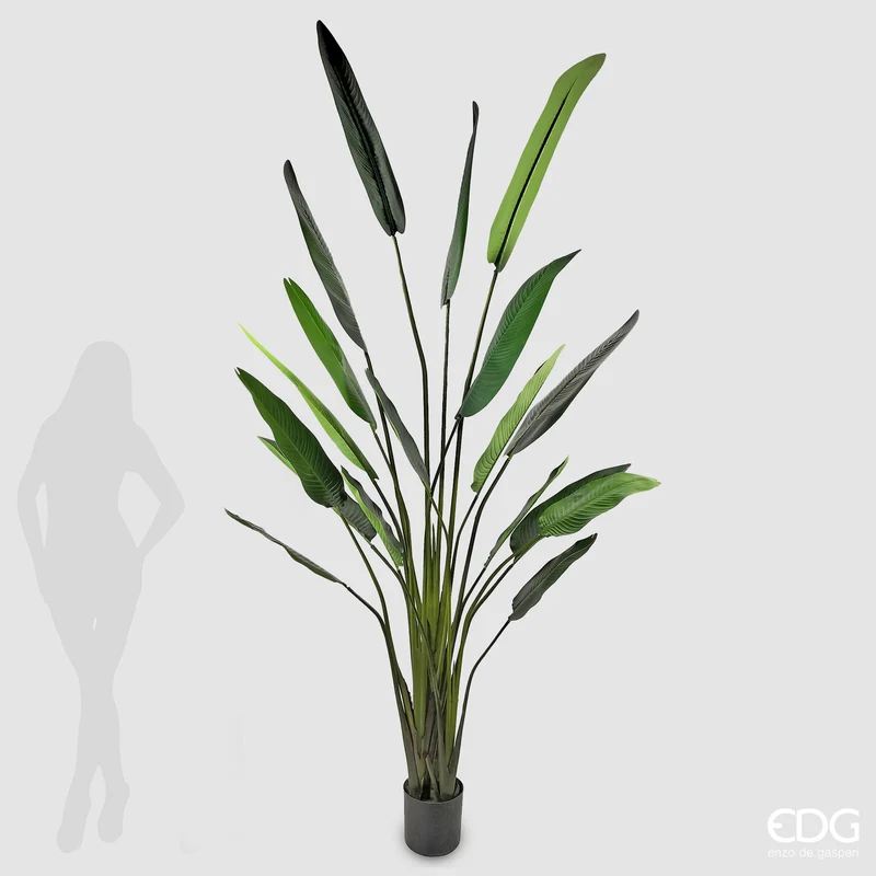 EDG Enzo De Gasperi Pianta Artificiale Strelitzia con Vaso H260 cm