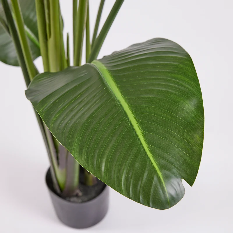 EDG Enzo De Gasperi Pianta Artificiale Strelitzia con Vaso H260 cm