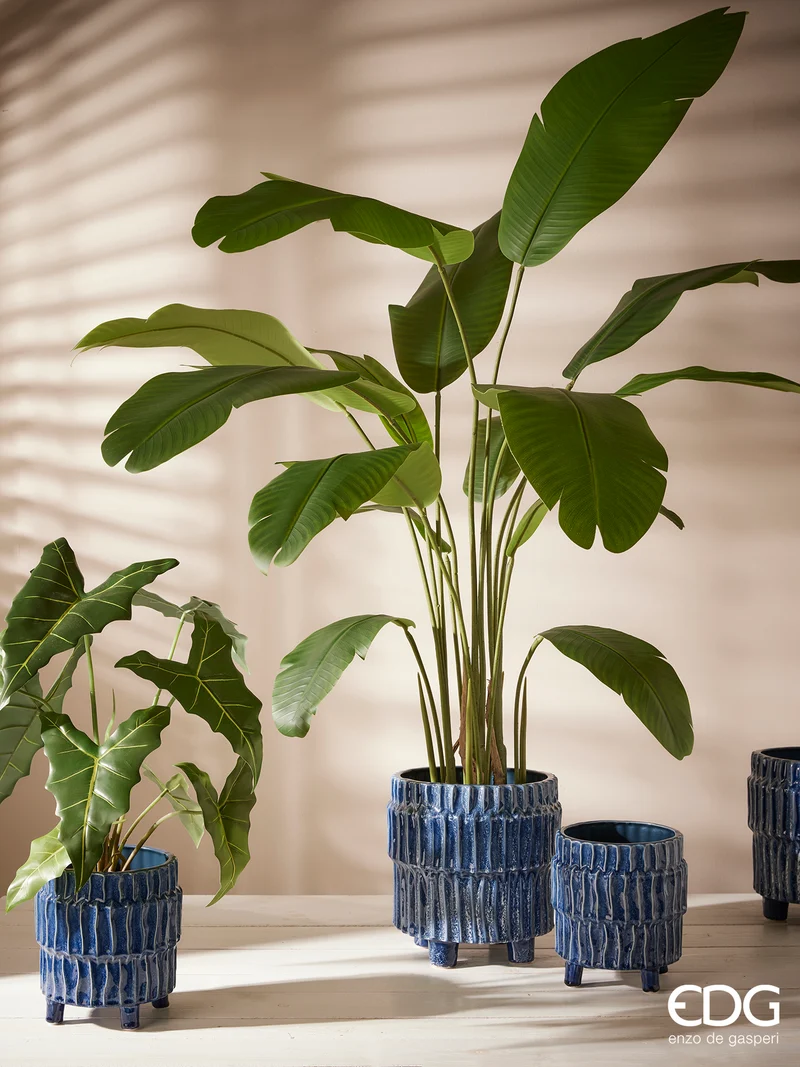 EDG Enzo De Gasperi Pianta Strelitzia Chic con Vaso H155 cm