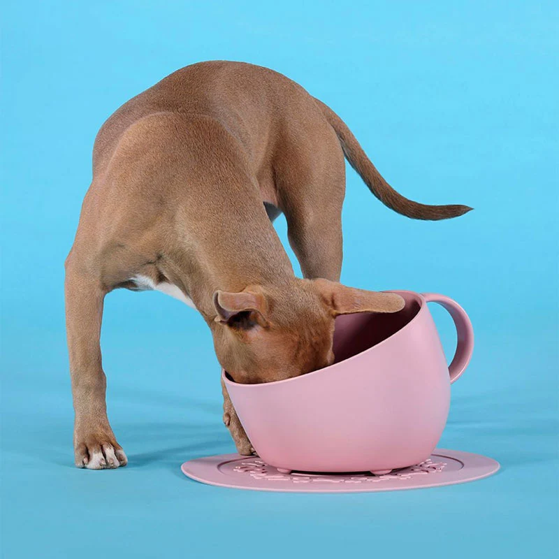 United Pets Tovaglietta Tappetino Sottociotola Acquamarina