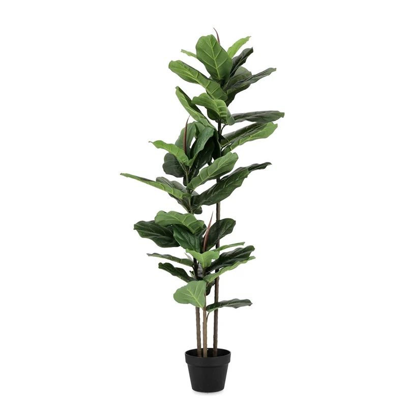 Andrea Bizzotto Pianta Artificiale Ficus Lyrata con Vaso 39 foglie H145 cm