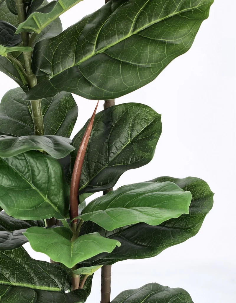 Andrea Bizzotto Pianta Artificiale Ficus Lyrata con Vaso 39 foglie H145 cm