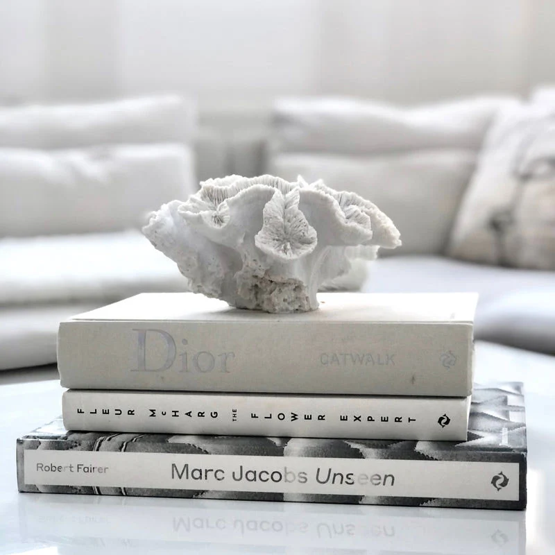 Thames & Hudson Libro Dior Catwalk