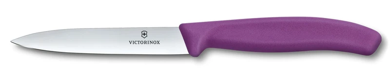 Gemüsemesser 10 cm gerade violett Swiss Classic