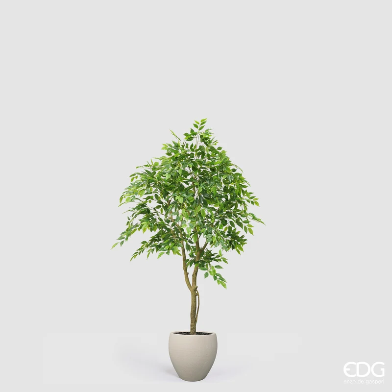 EDG Enzo De Gasperi Pianta Artificiale Ficus Beniamino Vogue con Vaso H170 cm