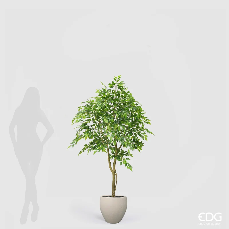 EDG Enzo De Gasperi Pianta Artificiale Ficus Beniamino Vogue con Vaso H170 cm