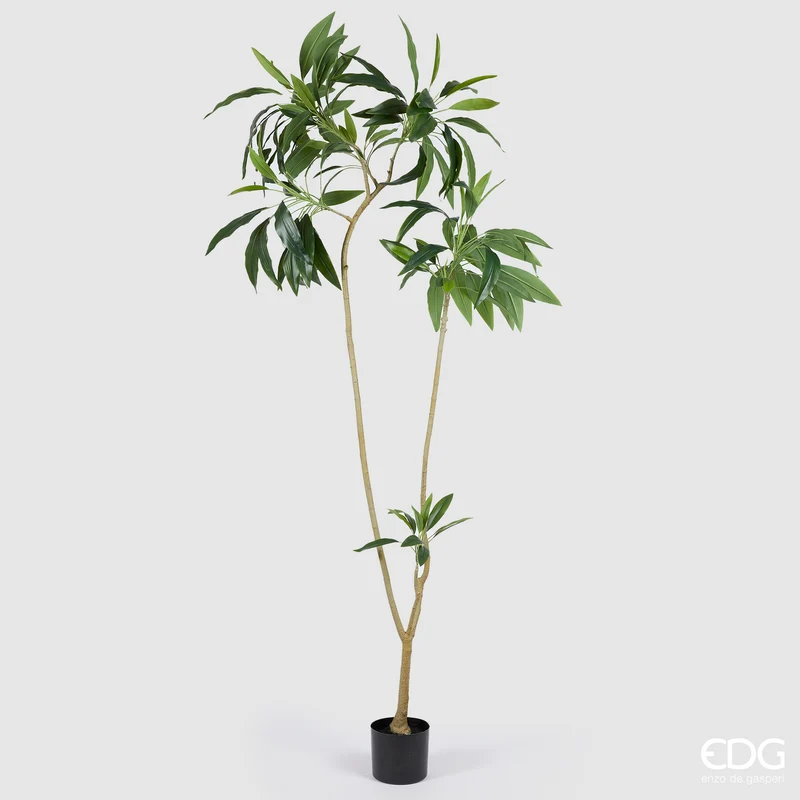 EDG Enzo De Gasperi Pianta Artificiale Dracena con Vaso H200 cm
