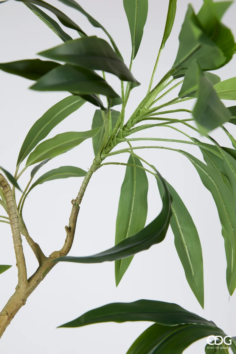 EDG Enzo De Gasperi Pianta Artificiale Dracena con Vaso H200 cm