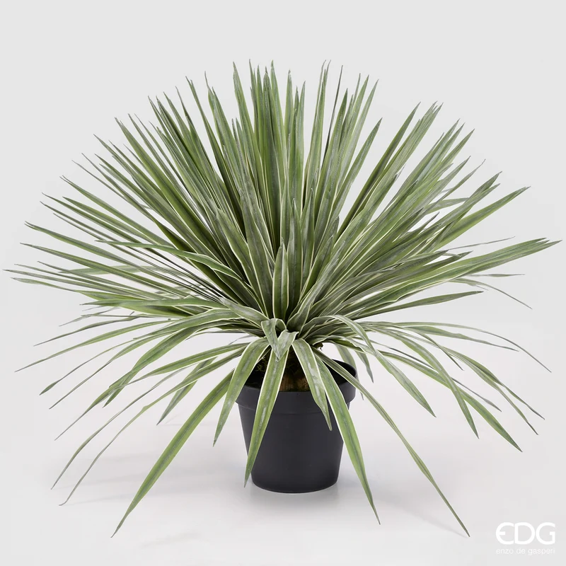 EDG Enzo De Gasperi pianta con vaso Agave Succulent H80 Soft touch