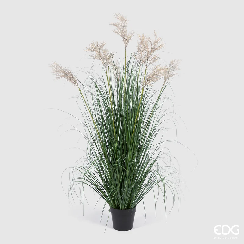 EDG Enzo De Gasperi Pianta Artificiale Festuca con Vaso H160 cm
