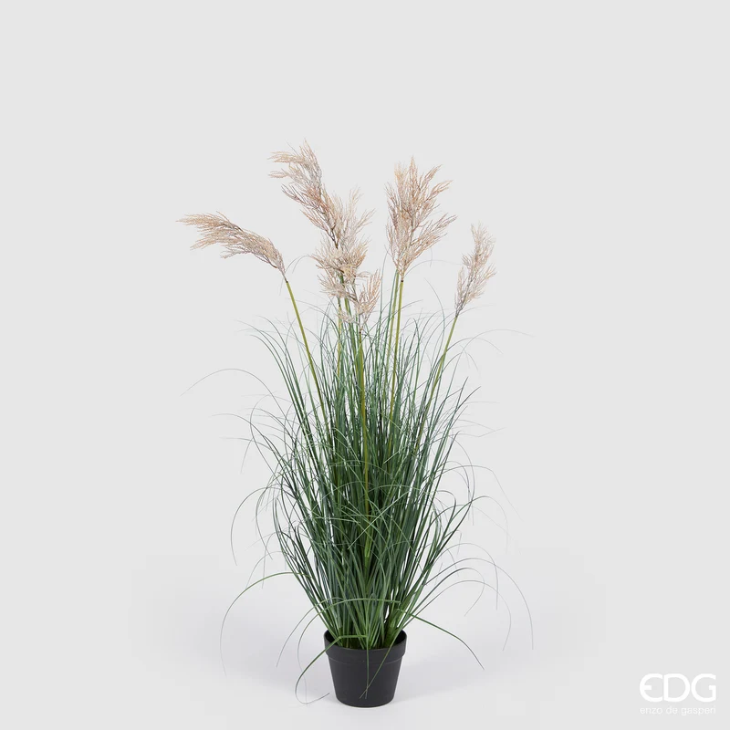 EDG Enzo De Gasperi Pianta Artificiale Festuca con Vaso H120 cm