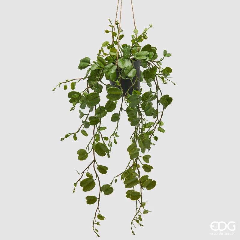 EDG Enzo De Gasperi Bauhinia con vaso Da Appendere H64 cm