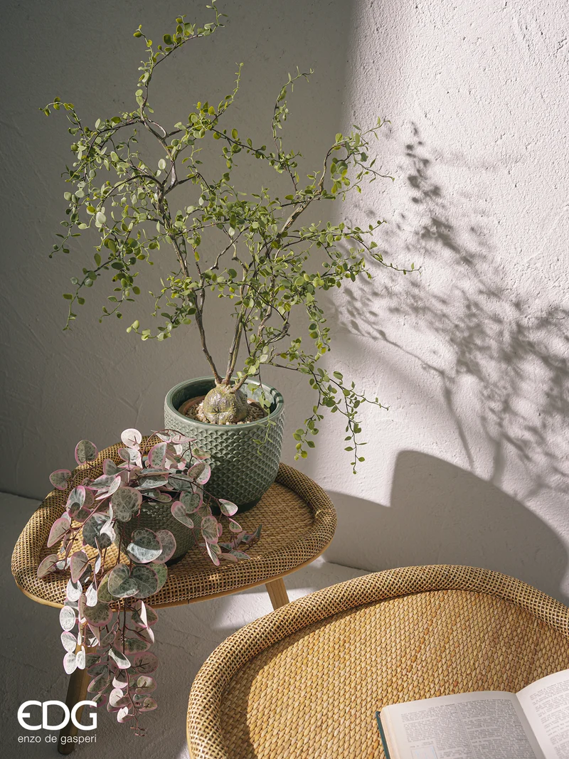 EDG Enzo De Gasperi Tavolino Tripode in Rattan 39x63x56 cm