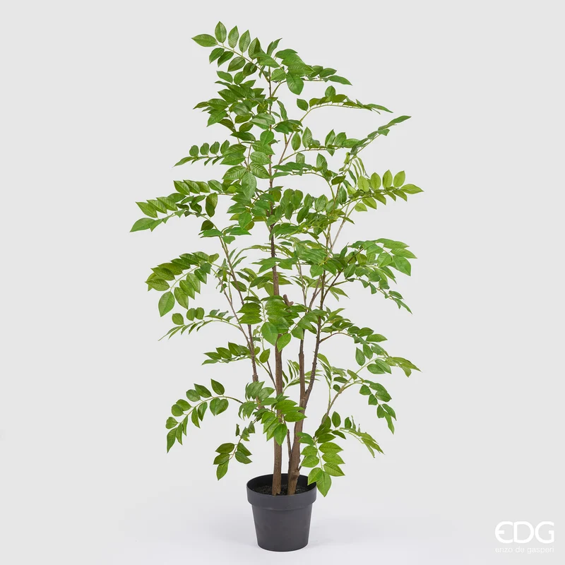 EDG Enzo De Gasperi Pianta Artificiale con Vaso Dalbergia H160 cm