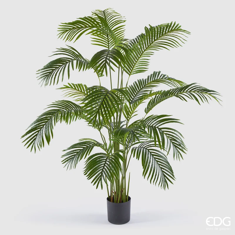 EDG Enzo De Gasperi Pianta Artificiale Palma Areca con Vaso H170 cm