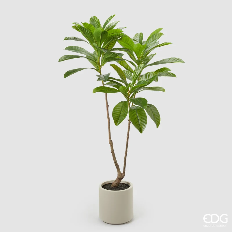 EDG Enzo De Gasperi Pianta Artificiale Camelia Carinata con Vaso H160 cm