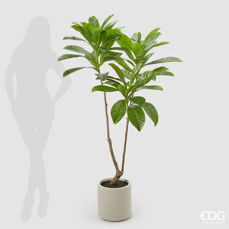EDG Enzo De Gasperi Pianta Artificiale Camelia Carinata con Vaso H160 cm
