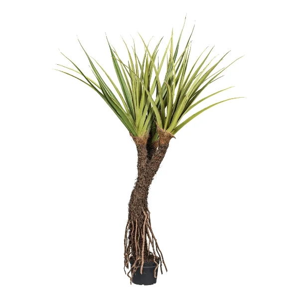 Gasper Pianta Artificiale di Pandanus Tectorius x3 H210 cm con Vaso