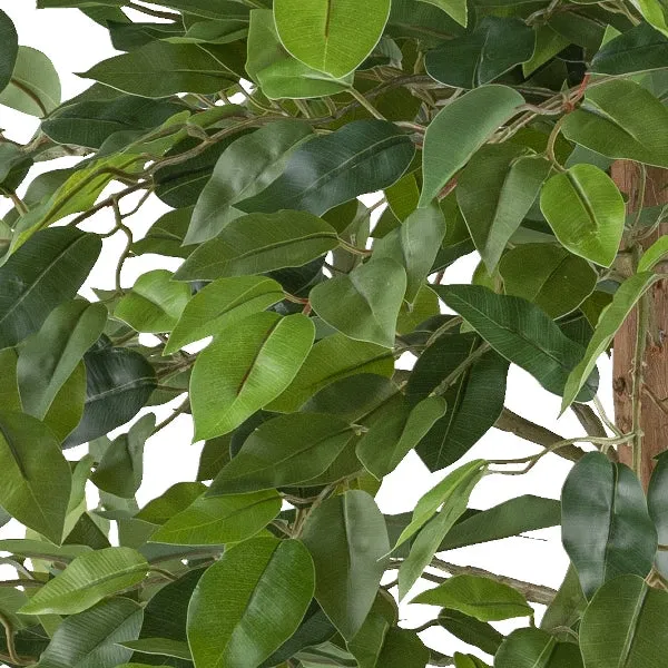 Gasper Pianta Artificiale di Ficus Benjamina H85 cm con Vaso